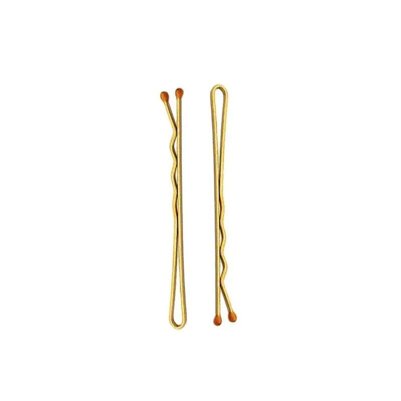 GRAMPO PARA CABELO RICCA N5 LOIRO 100UN